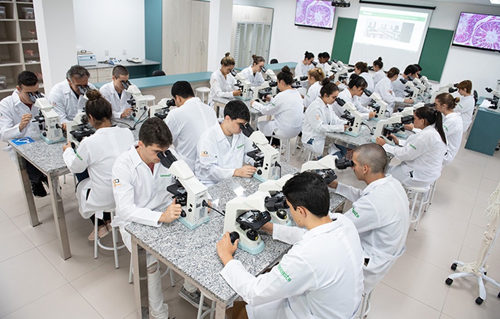 Todos os cursos da Faculdade de Medicina alcançam nota máxima no Enade -  Faculdade de Medicina da UFMG