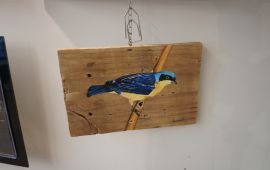 Gallery - 0