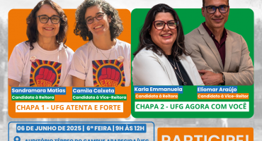 Descrição da Imagem