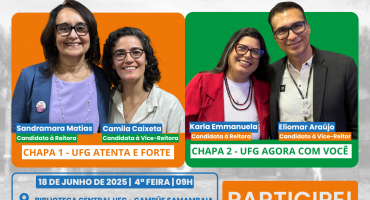 Descrição da Imagem