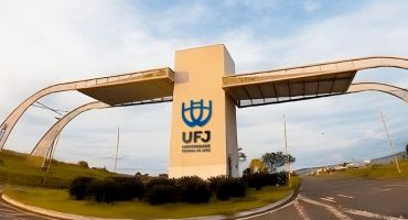 Descrição da Imagem