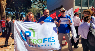 Descrição da Imagem