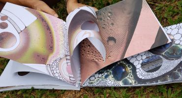 Descrição da Imagem