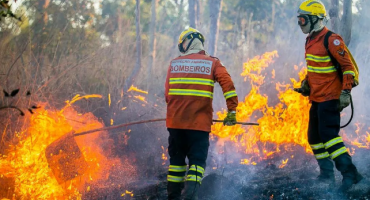 Notícias - Área queimada no Brasil cai 31% em 2025; Cerrado concentra 69% do total