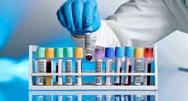 Descrição da Imagem