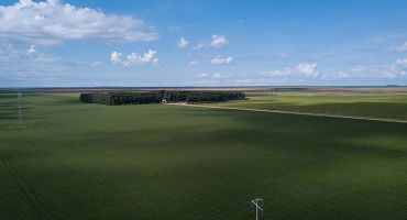 Descrição da Imagem