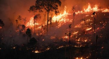 Descrição da Imagem