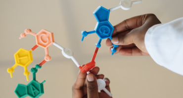 Descrição da Imagem