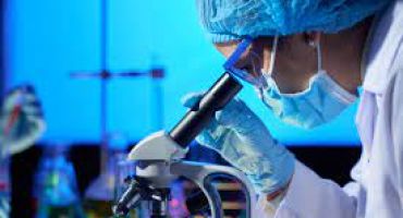 Descrição da Imagem