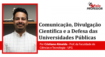 Descrição da Imagem