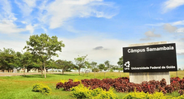 Notícias - Cursos multidisciplinares puxam recorde de ingressantes na pós-graduação