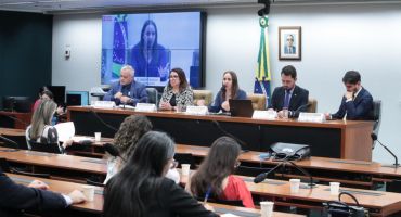 Descrição da Imagem