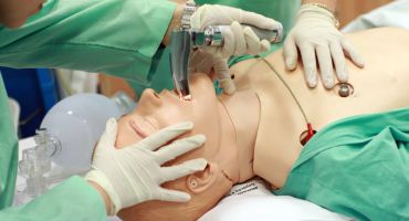 Descrição da Imagem