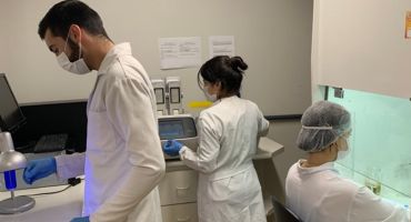 Descrição da Imagem