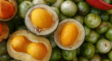 Descrição da Imagem