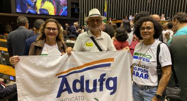 Descrição da Imagem