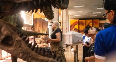 Notícias - Museus de universidades federais têm visita gratuita