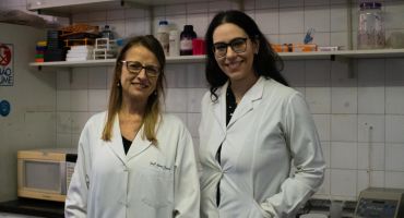 Descrição da Imagem