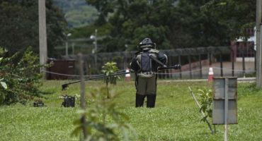 Descrição da Imagem