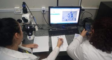 Descrição da Imagem