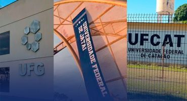 Descrição da Imagem