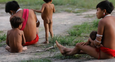 Descrição da Imagem