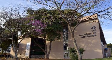 Descrição da Imagem