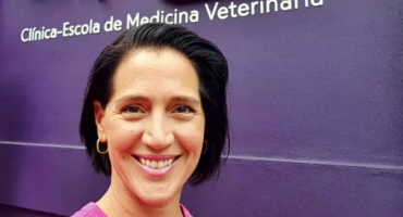 Descrição da Imagem