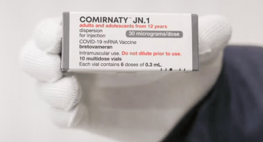 Descrição da Imagem