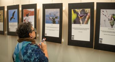 Descrição da Imagem