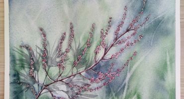 Descrição da Imagem