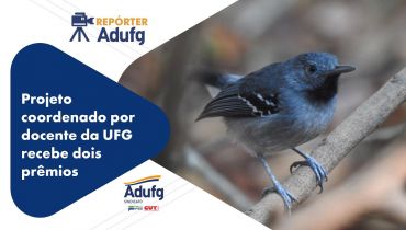 Repórter Adufg: Projeto coordenado por professor da UFG recebe dois prêmios na Trade Tur Goiás 2024