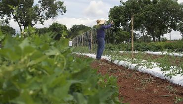 UFG desenvolve projeto para manejo sustentável da agricultura familiar em Caldas Novas 