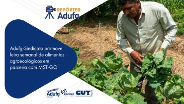 Adufg-Sindicato promove feira semanal de alimentos agroecológicos em parceria com MST-GO
