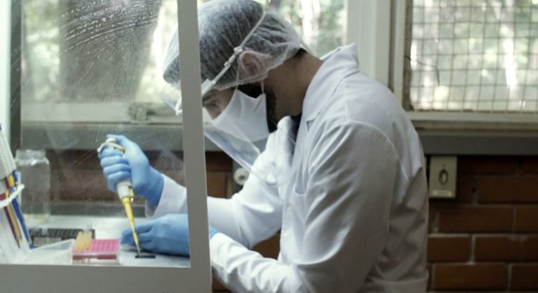 Adufg Científica: conheça o teste molecular rápido para Covid-19 desenvolvido pela UFG