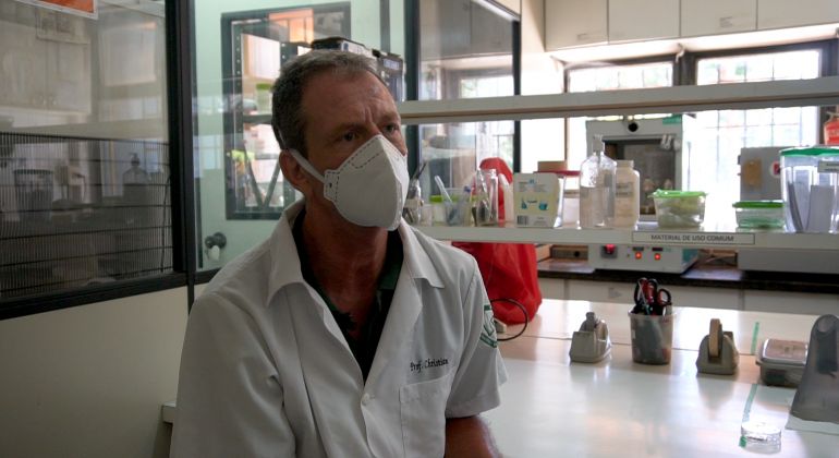 Adufg Científica: Estudo da UFG desenvolve método para controle biológico do Aedes Aegypti
