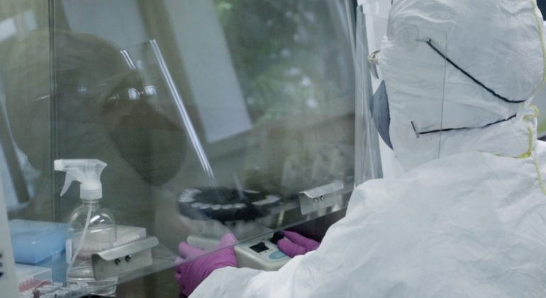 Adufg Científica: Laboratório da UFG atua no diagnóstico do novo coronavírus