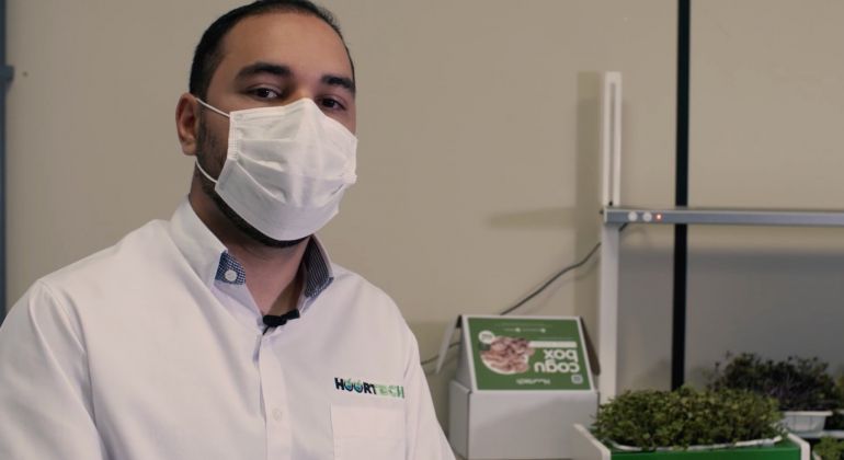 Adufg Saúde: Projeto de startup apoiada pela UFG possibilita cultivo de alimentos mais saudáveis dentro de casa