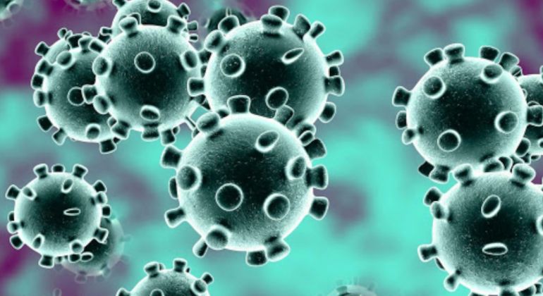 Adufg Sindicato: Adufg-Sindicato fecha sede e subsedes em prevenção ao coronavírus