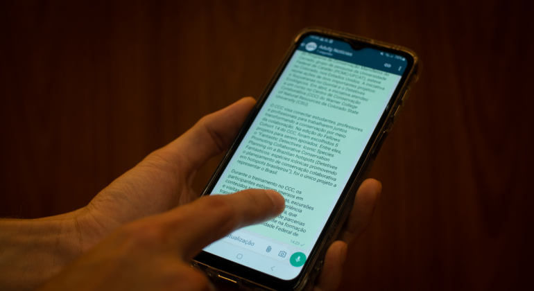 Adufg-Sindicato cria canal para divulgação de notícias no WhatsApp; saiba como participar