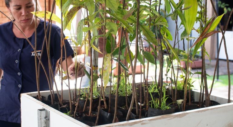Adufg-Sindicato promove ações em alusão ao Dia Mundial do Meio Ambiente visando o incentivo à promoção da sustentabilidade