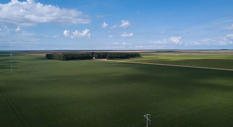 BNDES aproveita brecha legal e financia infratores ambientais no Cerrado