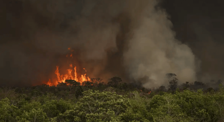 Câmara aprova aumento de punição a quem provocar incêndios florestais