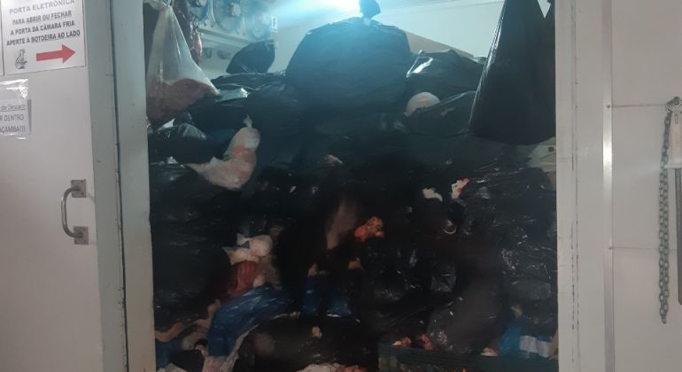 Câmara fria da EVZ é lacrada e forno incinerador está há três meses sem gás