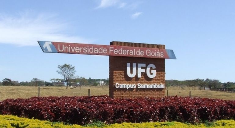 Cinco cursos na UFG conquistam nota máxima no Exame Nacional de Desempenho dos Estudantes