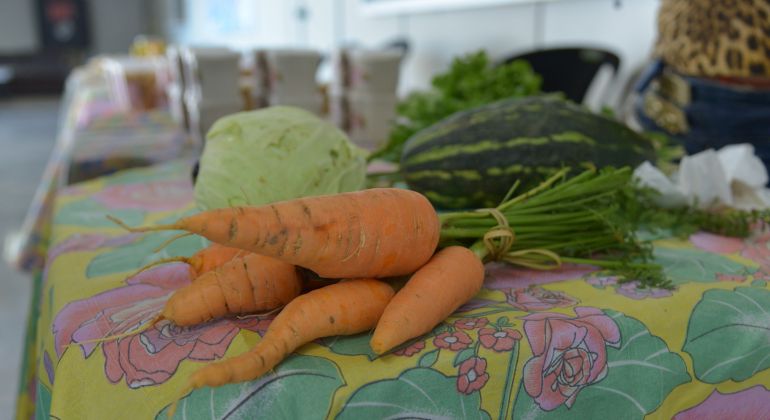 Com o apoio do Adufg-Sindicato, Feira Interinstitucional Agroecológica é realizada nesta terça-feira (14)