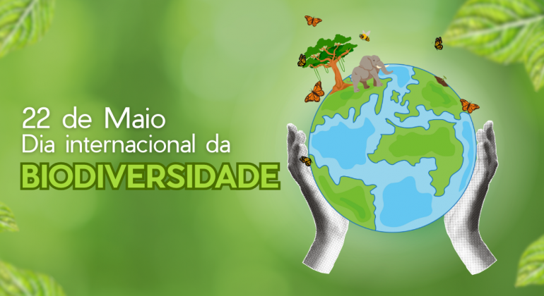 Dia da Biodiversidade: conheça quatro iniciativas de preservação das universidades federais de Goiás