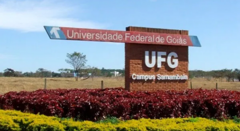 Em reunião do Observatório de Insalubridade, Adufg, Sint-Ifesgo e UFG discutem soluções para problemas com adicionais ocupacionais