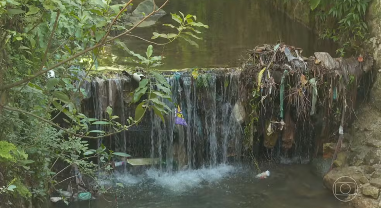 Estudo revela piora na qualidade da água em rios de 14 estados brasileiros