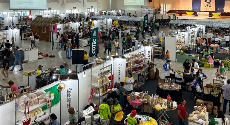 Feira Interinstitucional Agroecológica fortalece agricultura familiar em Goiás